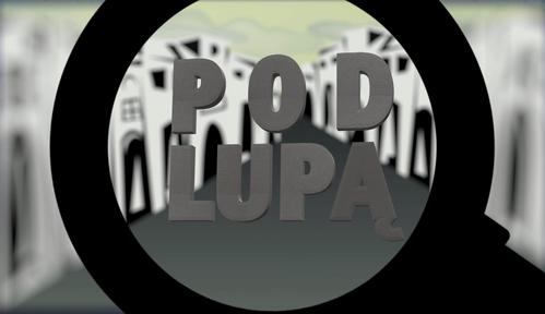 Pod lupą