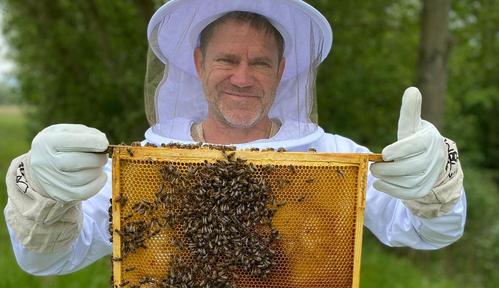 Steve Backshall i sekretne życie pszcz&oacute;ł (2025)