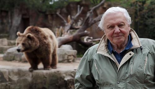 David Attenborough i cuda natury 4