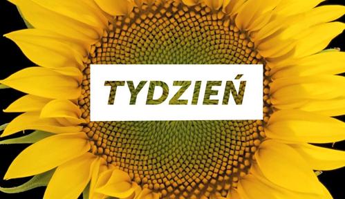 Tydzień