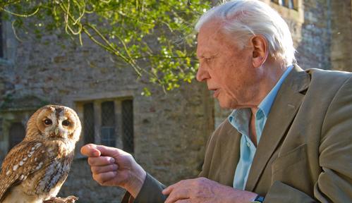 David Attenborough i cuda natury 2
