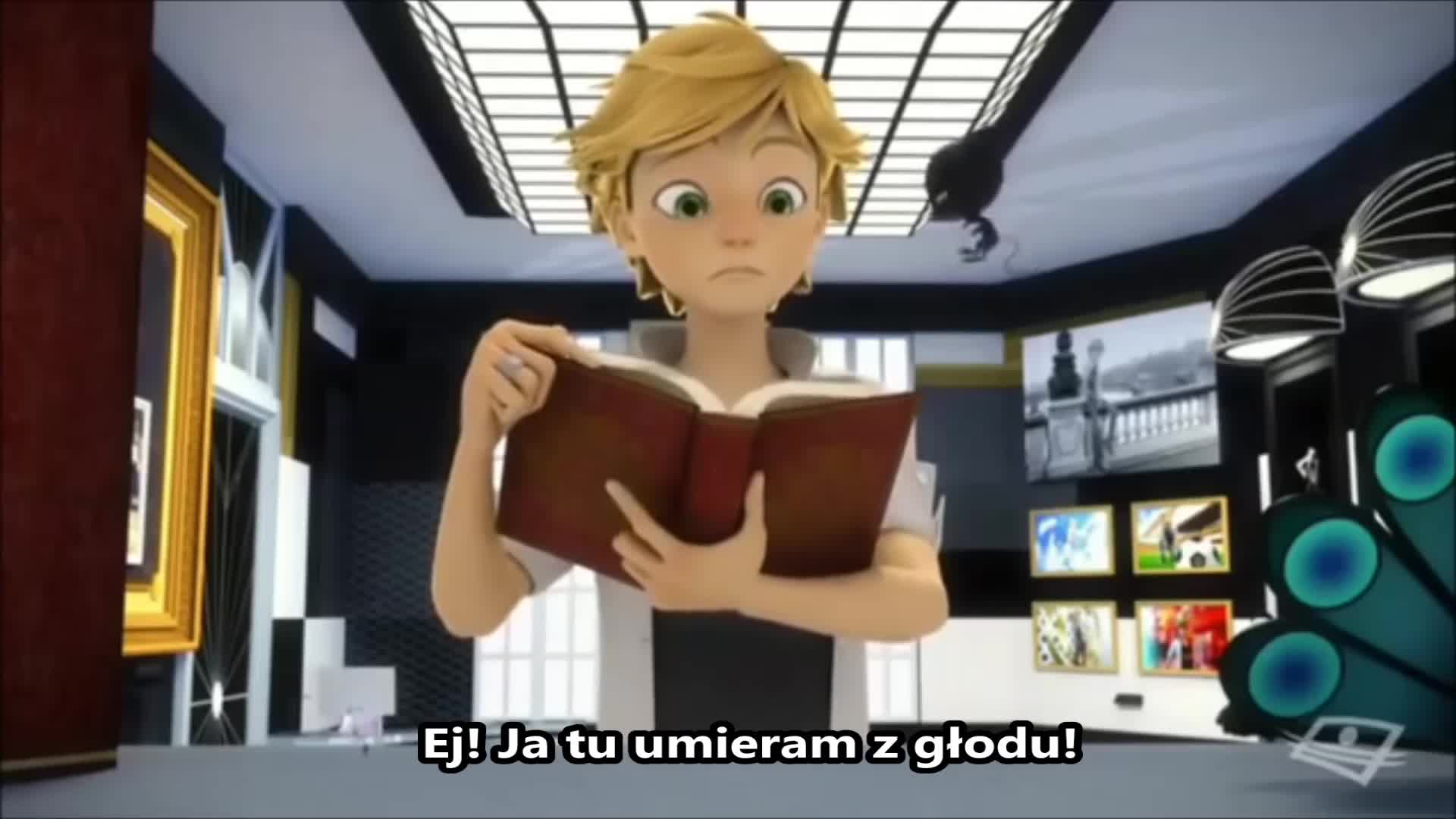 Miraculum Biedronka I Czarny Kot S01e24 Volpina Wideo W Cdapl