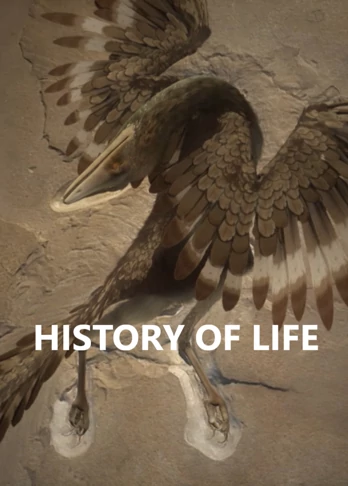 Historia życia - serial dokumentalny