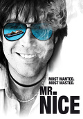 Mr. Nice (2010) Lektor PL
