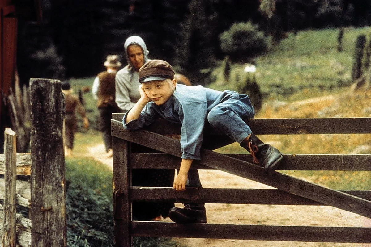 Rasmus i wł&oacute;częga (1981) Lektor PL