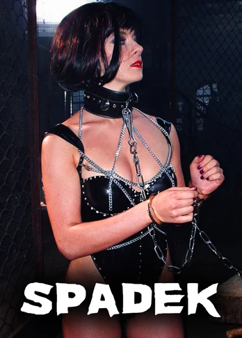 Spadek (2005) Cały film PL