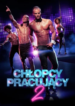 Chłopcy pracujący 2 (2020) Lektor PL