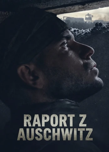 Raport z Auschwitz (2021) Lektor PL