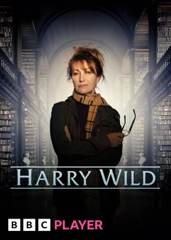 Harry Wild - serial online