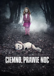 Ciemno, prawie noc (2019) Cały film PL