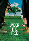 W cieniu drzewa (2017) Lektor PL