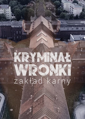 Kryminał Wronki - serial dokumentalny