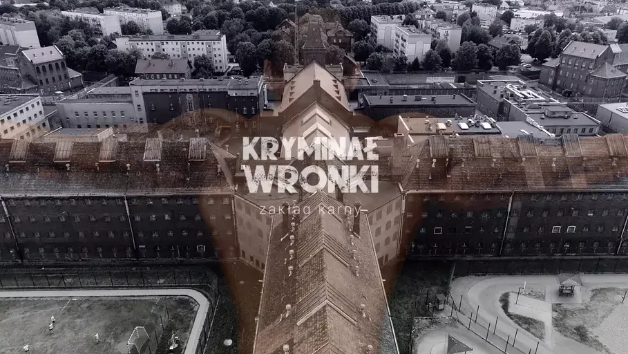 Kryminał Wronki S01E01