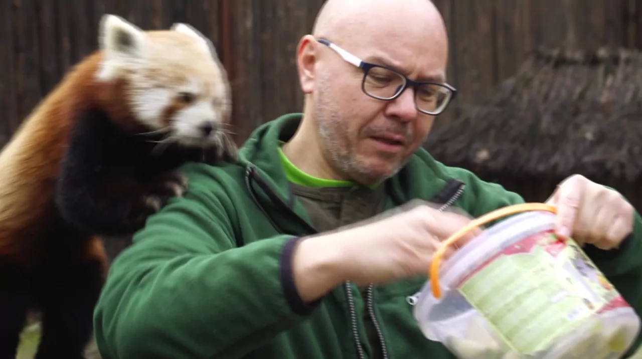 Sp&oacute;łka ZOO S01E03: Drapieżniki