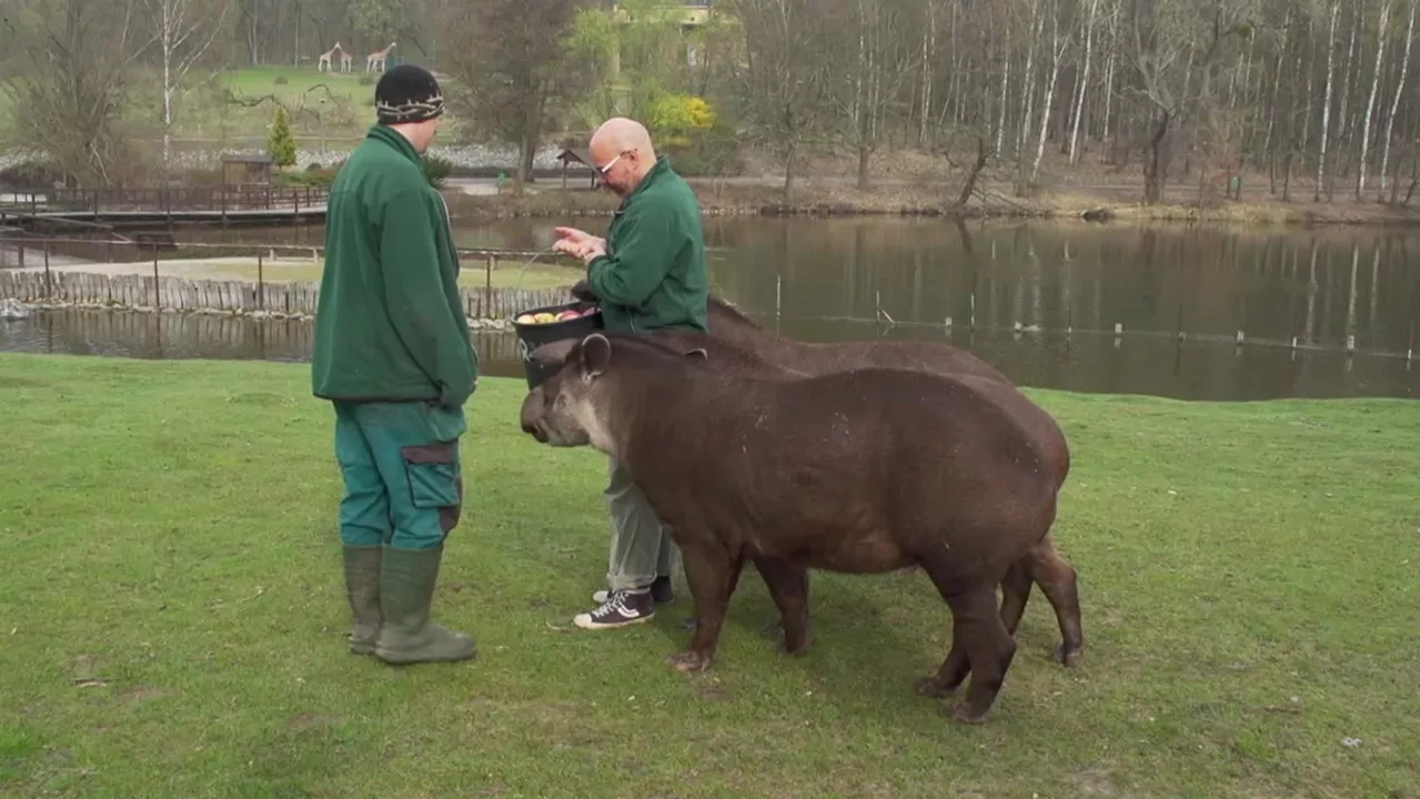 Sp&oacute;łka ZOO S01E04: Ameryka Południowa