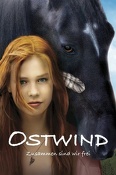 Wicher / Ostwind (2013) Lektor PL