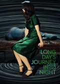 Długa podr&oacute;ż dnia ku nocy (2018) Lektor PL