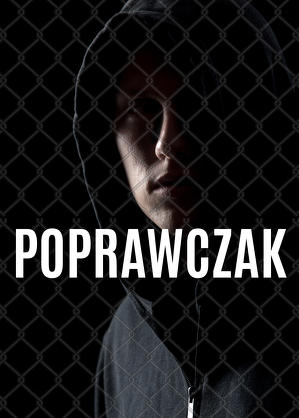 Poprawczak - program online
