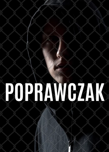 Poprawczak - program online