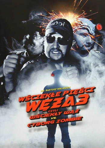 Wściekłe pięści Węża 3 (2013) Cały film PL
