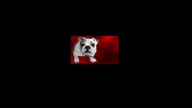 Alice (2011) lektor
