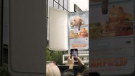 POV: Garfield swój mural miau 