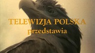 Znak. Orla. E12