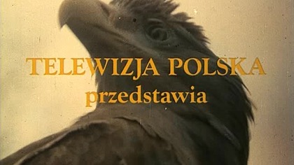 Znak. Orla. E12