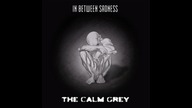 THE CALM GREY - The Last Year