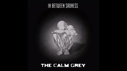 THE CALM GREY - The Last Year