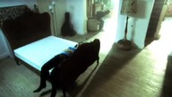 Katie Melua - The Closest Thing To Crazy