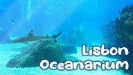 Lisbon Oceanarium | Music video | Portugal #1