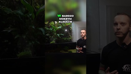  Problemy z Roślinami w Paludarium 