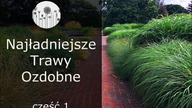 Najładniejsze trawy ozdobne do ogrodu ! Część 1