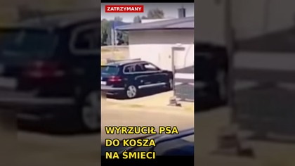 Wyrzucił żywego psa do kosza jak śmieć i uciekł  #shorts #policja #zwierzeta #polska #polscydrog