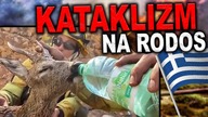 GRECJA PŁONIE! Widok spragnionej SARENKI ROZRYWA SERCE...