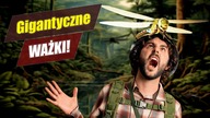 MEGANEURA - największy OWAD w historii Ziemi! - najdziwniejsze zwierzęta świata #9