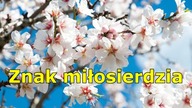Kwitnąca laska Aarona (Lb 17, 16-26)