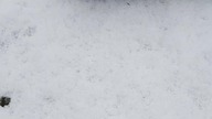 COBI LEOPARD #bricks #cobi #tank #lego #car #shorts #germany #czołgi #snow #winter #december #śnieg