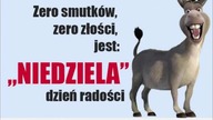 Zapowiedź nowej serii