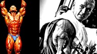 BLOND MIT | Lee Priest