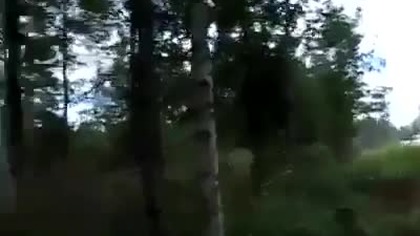 Tymczasem na rajdzie WRC