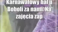 Karnawałowy bal u Boboli za nami.  Na zajęcia zapraszają dzieci także w piątek