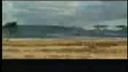 Zwierze