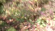 WROCŁAW - Ucieczka Przed Niezidentyfikowanym   