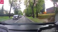 Gigantyczny korek przez... gałązkę