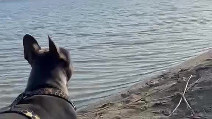 A co to tam płynie ?!