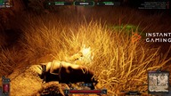WIPE SEZON 4 - Dark and Darker Live - Gameplay PL