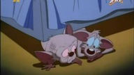 Pinky i Mózg S03E12 - Hektary mózgu