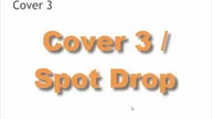 2-4 Cover 3 Spot Drop